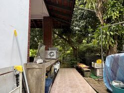 Bedok Road (D16), Semi-Detached #531870701